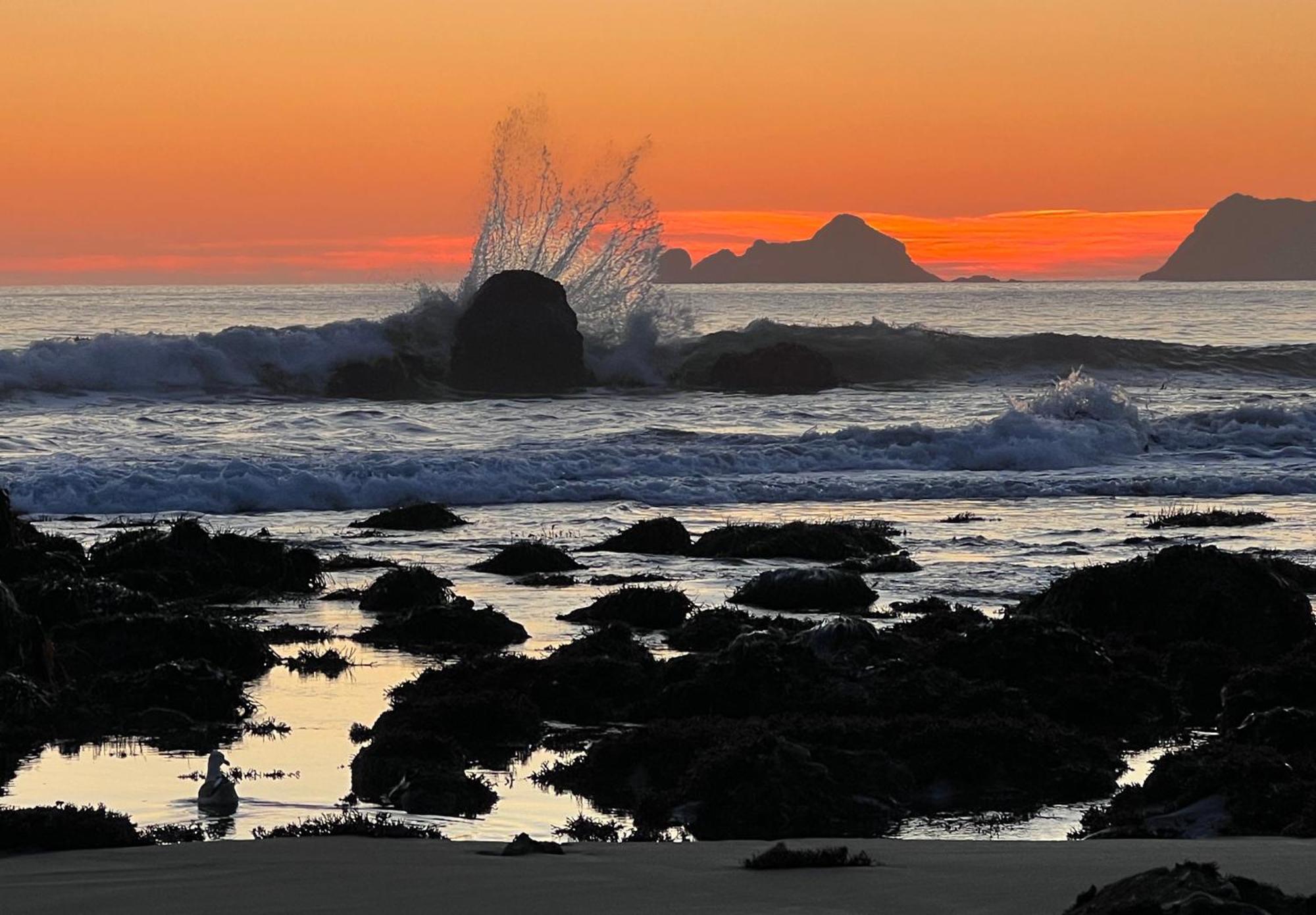 The Cove At Port Orford - 5 Ocean Front Suites Exterior foto